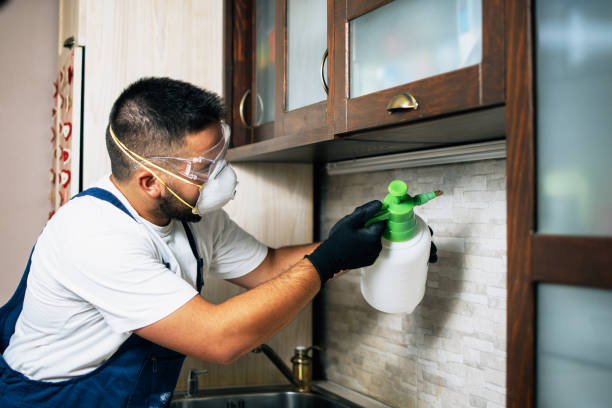 Reliable Hudson, NY Pest Control Solutions