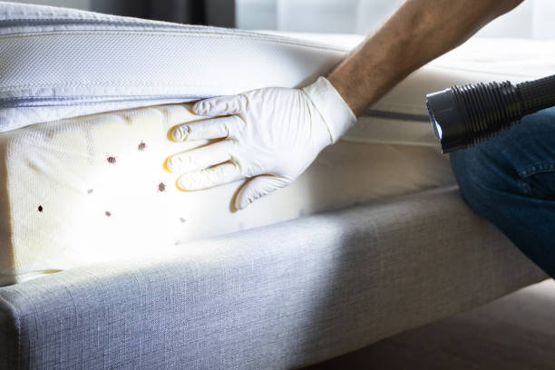 Best Pest Removal Services  in Hudson, NY