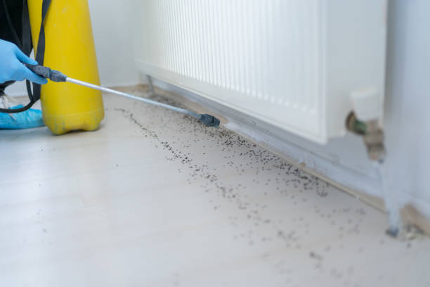 Best Pest Prevention Services  in Hudson, NY