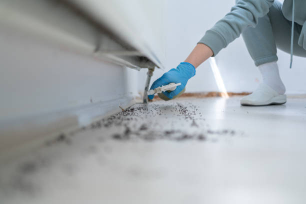 Best Wasp Removal Services  in Hudson, NY