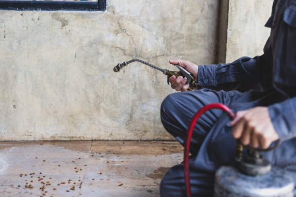 Best Pest Control Cost  in Hudson, NY