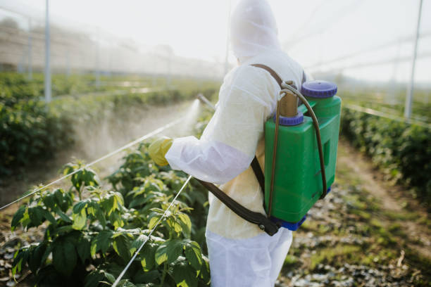 Best Emergency Pest Control  in Hudson, NY